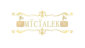 Gracz komputerowy - micialek