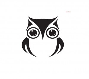 Gracz komputerowy - Owlkani
