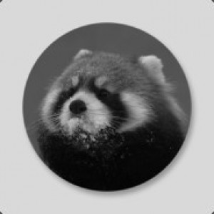 Gracz komputerowy - Cooffy