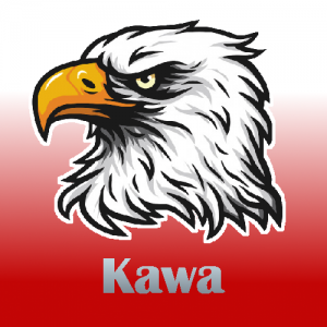 Gracz kawa