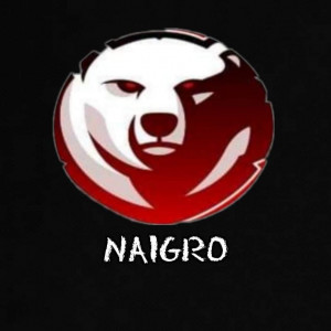 Gracz komputerowy - NaiGro
