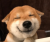 Gracz cheethy