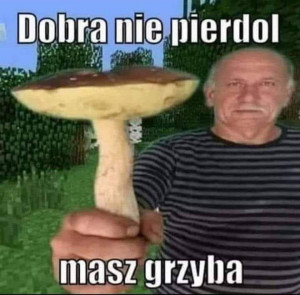 Gracz Megaszycha