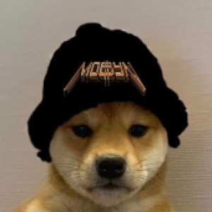 Gracz 1wawrzyn1