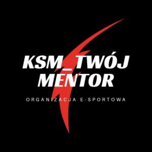 Gracz komputerowy - TwojMentor