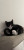 Gracz Darkness_
