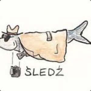 Gracz komputerowy - Sledziu