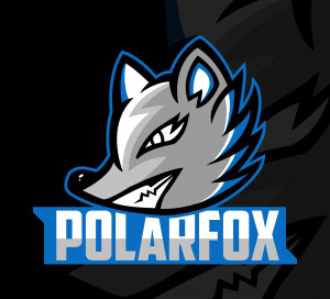Gracz PolarFoxEsports
