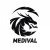 Gracz Medival Gaming League