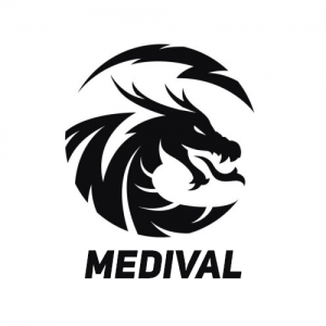 Gracz Medival Gaming League