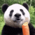 Gracz Pandzix :)