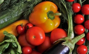 Gracz komputerowy - VEGETABLE007