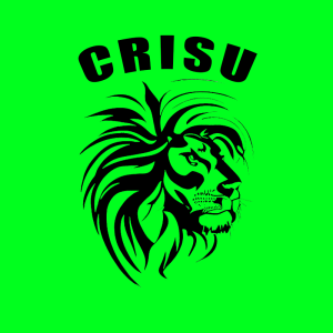 Gracz Crisu_