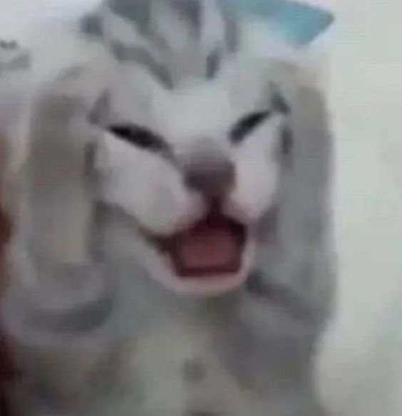 Gracz buubeel