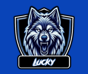 Gracz Lucky145