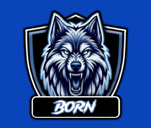 Gracz Born