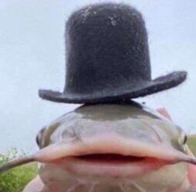 Gracz MR.FISH