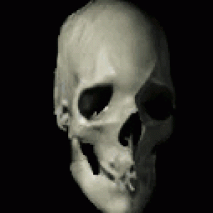 Gracz komputerowy - nuneK