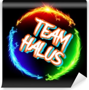 Gracz komputerowy - halus2