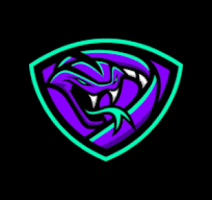 Gracz VIPER TEAM