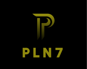 Gracz WhiteHorse_PLN7