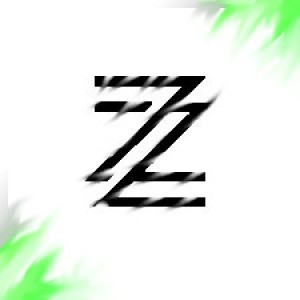 Gracz ZiXYP