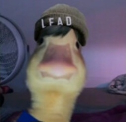 Gracz GG_COLIK9