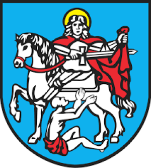 Gracz komputerowy - malin_
