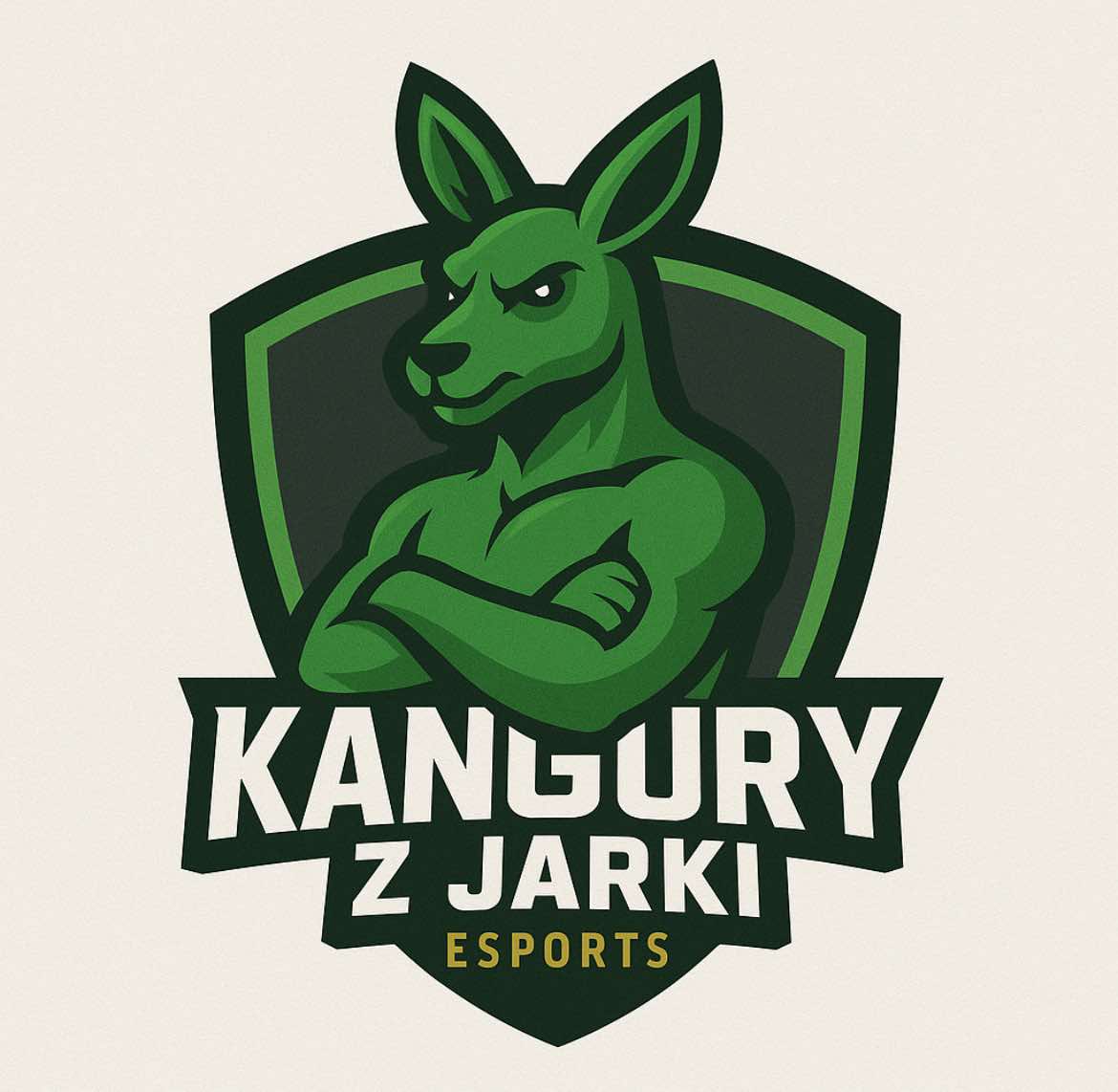 Gracz Dawid_ekk
