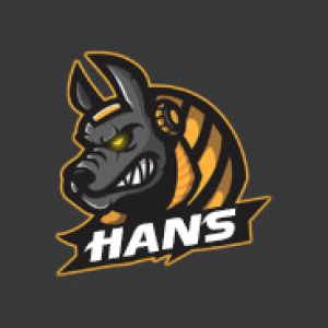 Gracz komputerowy - HANS