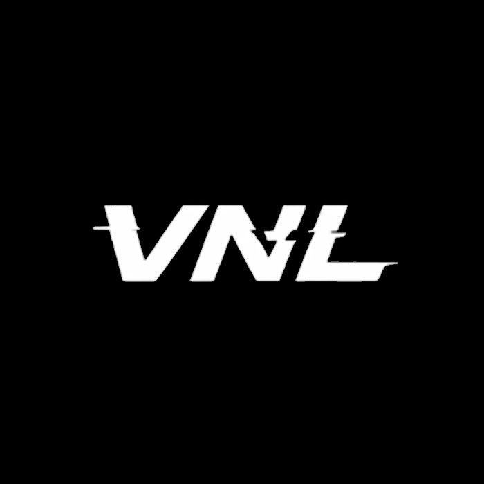 Gracz VNL