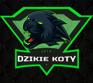Gracz komputerowy - KaZiooo
