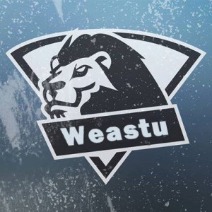 Gracz Weastu