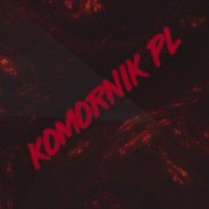 Gracz komputerowy - KOMORNIK