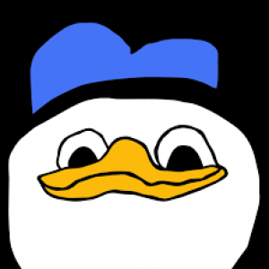 Gracz vermaspl2