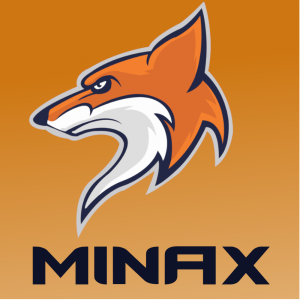 Gracz komputerowy - MinaX