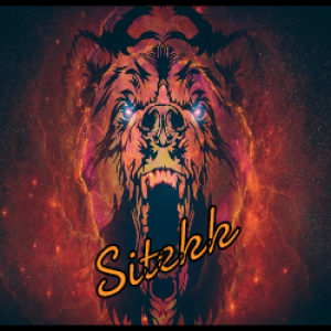 Gracz Sitek