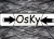 Gracz OsKy