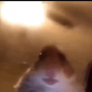 Gracz Zbroziuuu