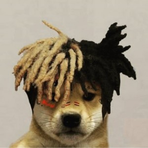 Gracz pawcio21232