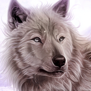 Gracz komputerowy - WinterFox