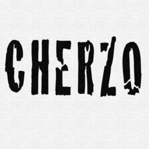 Gracz orzech981
