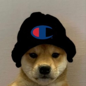 Gracz reinuuwa