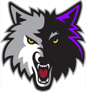 Gracz icewolfs