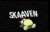 Gracz SkaaveN