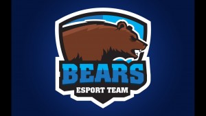 Gracz TeamBears