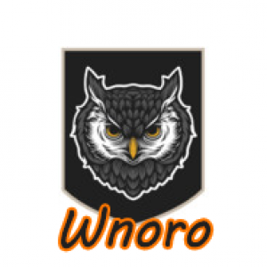 Gracz Wnoro