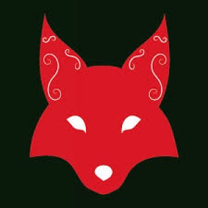 Gracz BloodFox