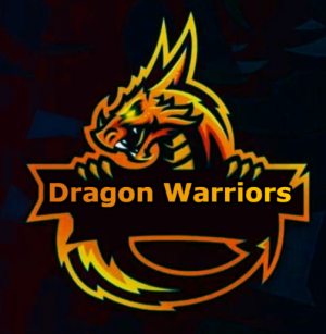 Gracz TeamDW