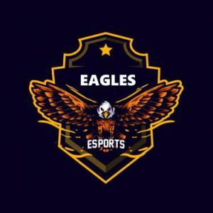 Gracz Road To Global Elite